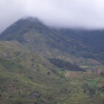 lupanga in front page